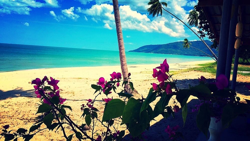 Le Petit Saint Tropez Hotel Khanom Exterior foto